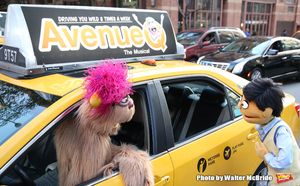 Trekkie Monster drives a New York City 'Avenue Q' Taxi with Princeton as his passenger @ BroadwayWorld Trekkie Monster drives a New York City 'Avenue Q' Taxi with Princeton as his passe Photo