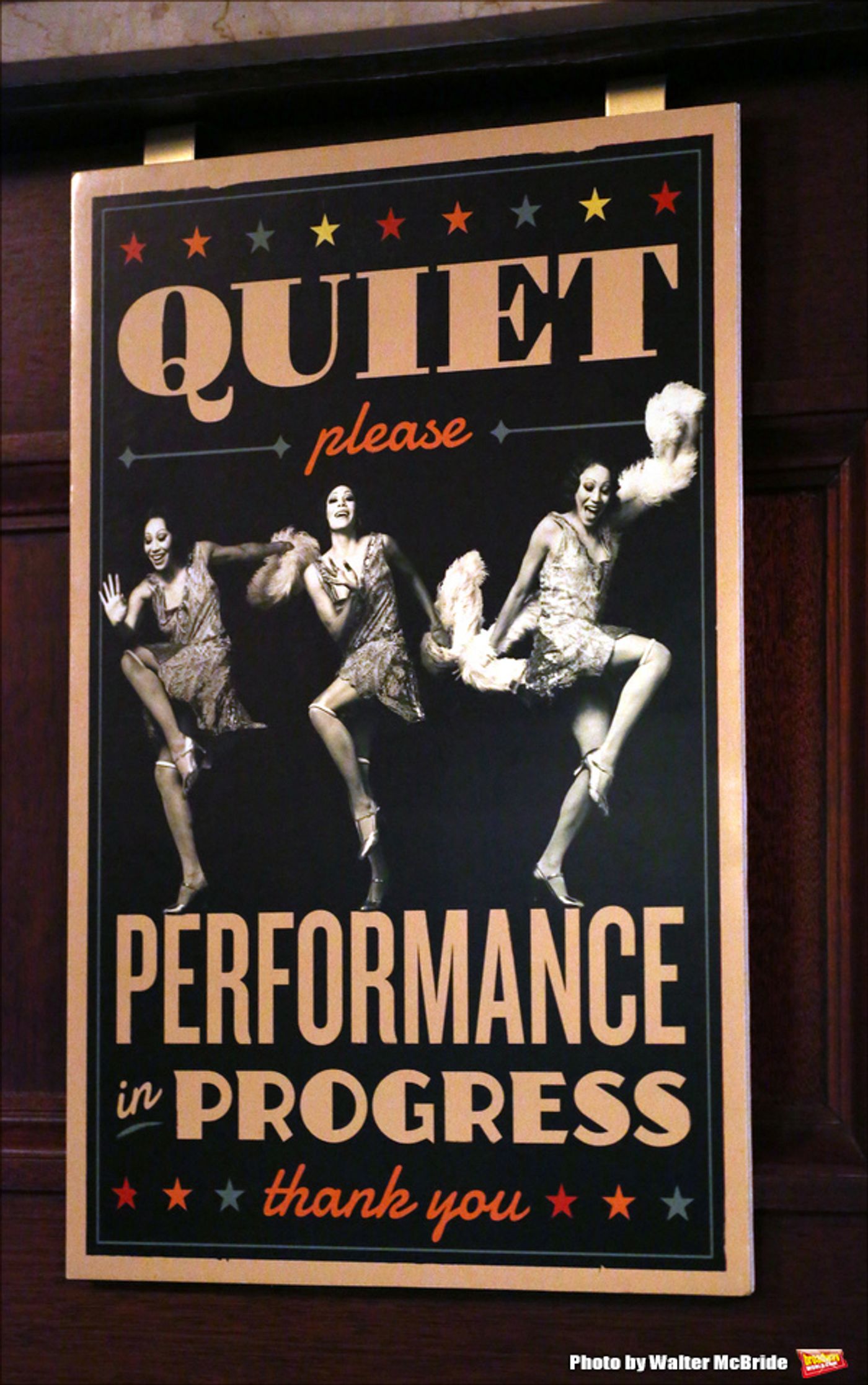 Photo Coverage: The SHUFFLE ALONG Cast Takes Opening Night Bows!  Image