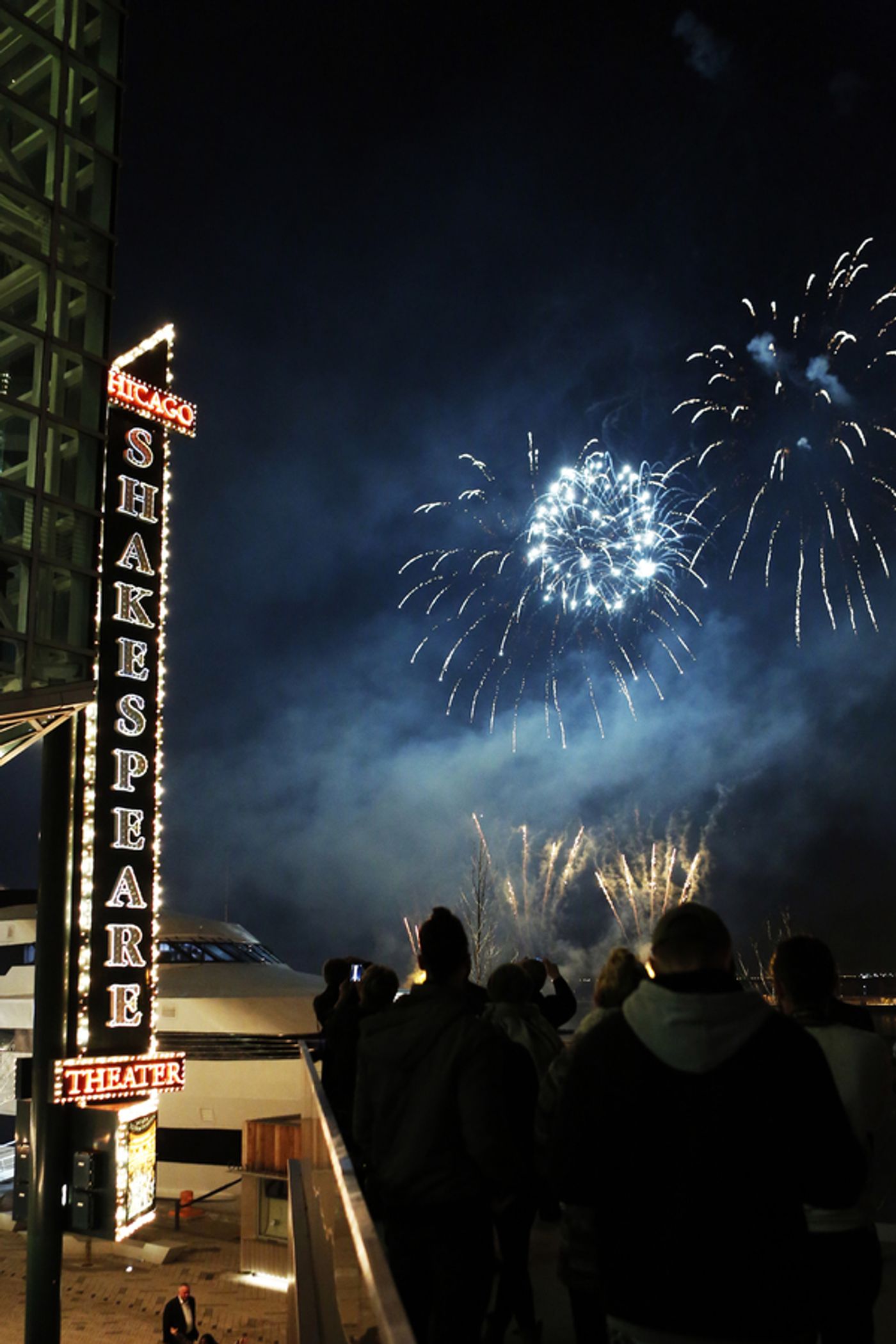 Photo Flash: Chicago Shakespeare Theater Hosts GALA 2016, Featuring Tony Winner Alan Cumming!  Image