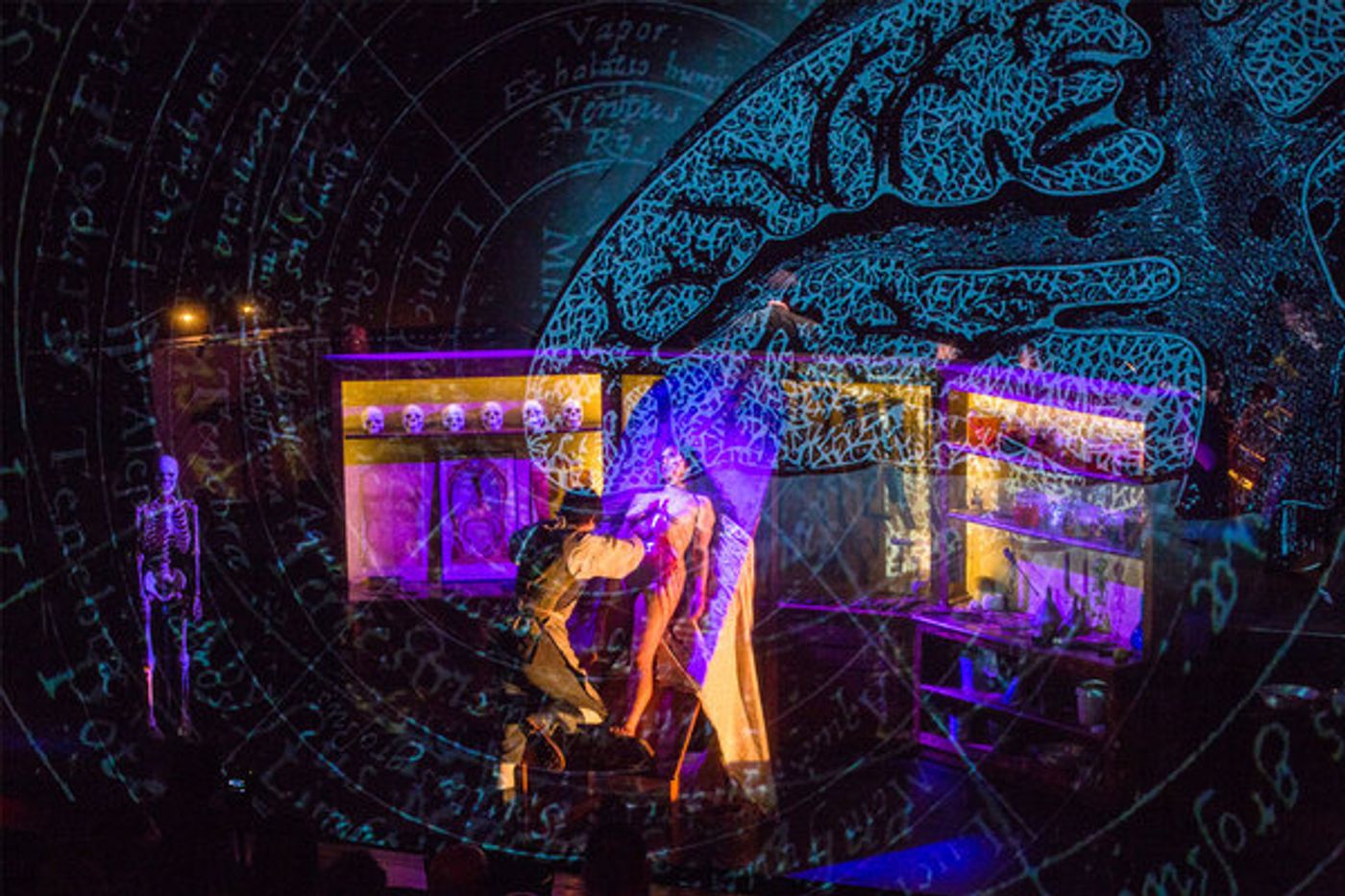 Photo Flash: First Look at World Premiere of David Lang and Mark Dion's ANATOMY THEATER at LA Opera Photo Flash: First Look at World Premiere of David Lang and Mark Dion's ANATOMY THEATER at LA Opera Image