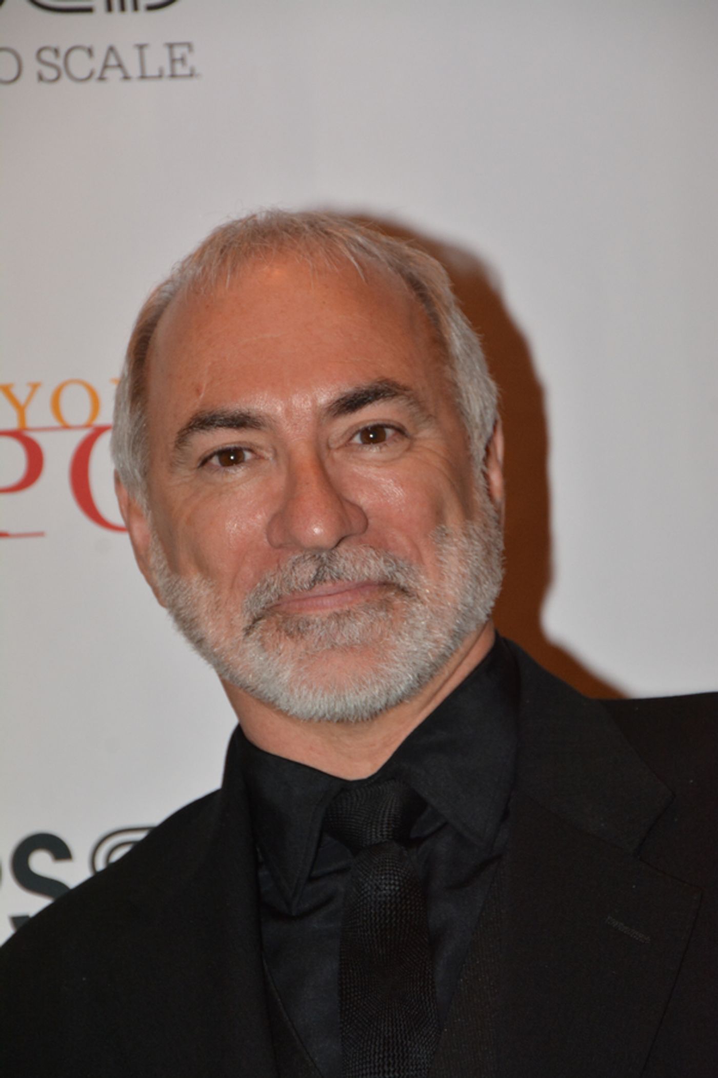 Photo Coverage: On the New York Pops Gala Red Carpet with Laura Osnes, Jeremy Jordan & More!  Image