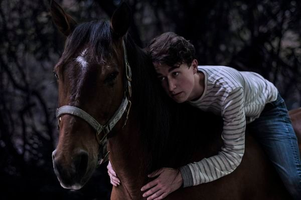 Photo Flash: Meet the Star of EQUUS, Coming to Orlando This Summer  Image
