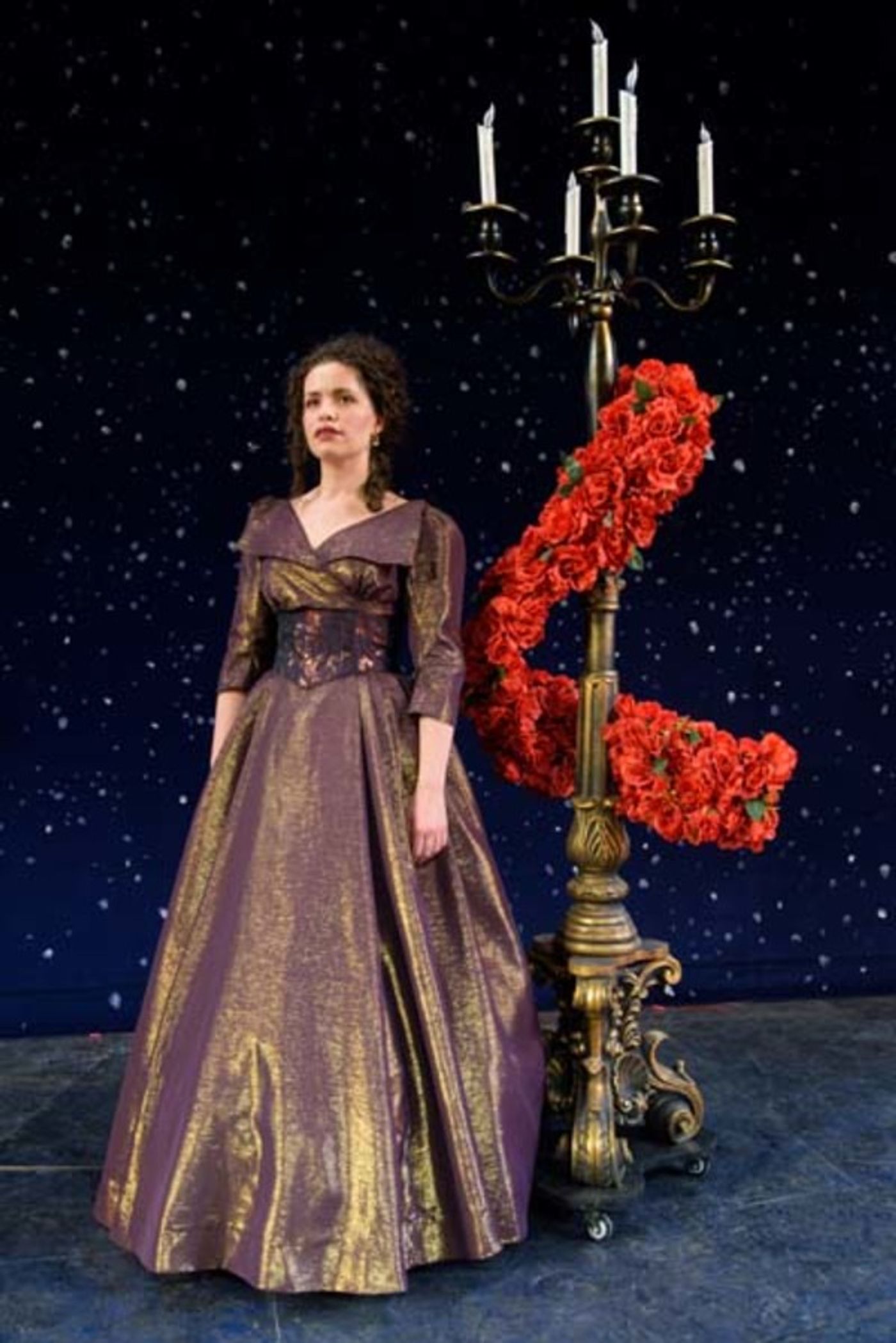 Photo Flash: Sneak Peek at Matt Farcher, Briana Carlson-Goodman and More in Frank Wildhorn's THE COUNT OF MONTE CRISTO  Image