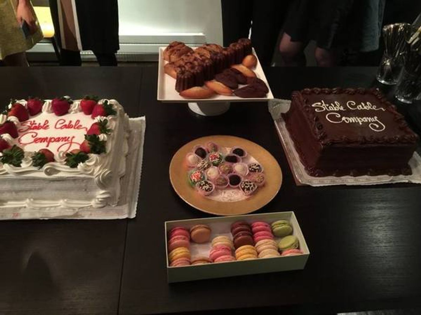 Photo Flash: Stable Cable Lab Co. 2016 Spring Soirée and Fundraising Campaign Raised More than $6,000 on 5/5  Image