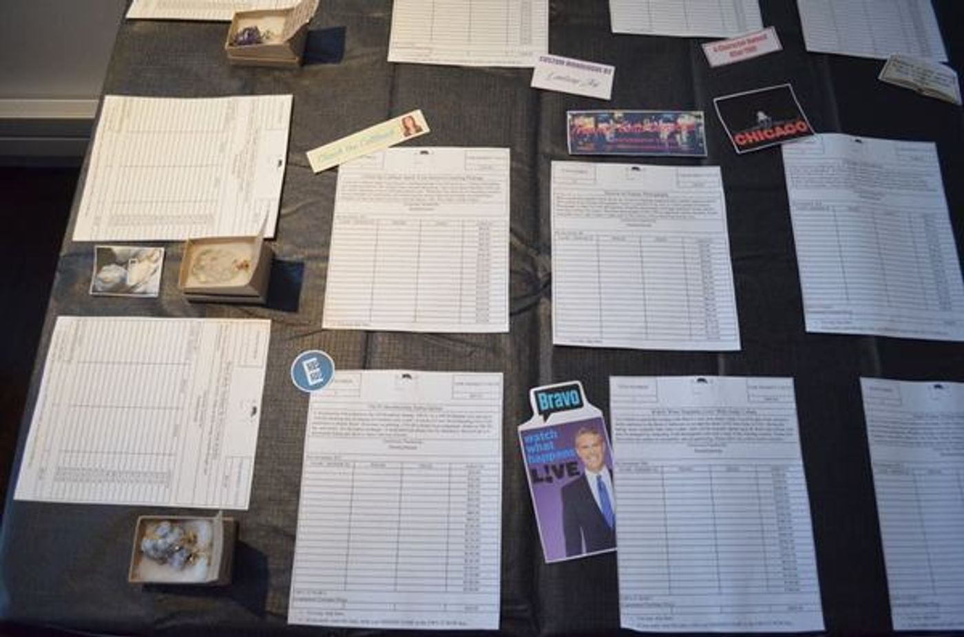 Photo Flash: Stable Cable Lab Co. 2016 Spring Soirée and Fundraising Campaign Raised More than $6,000 on 5/5  Image