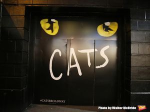 Theatre Marquee unveiling for the Broadway Revival of 'Cats' at the Neil Simon Theatre on May 10, 2016 in New York City. @ BroadwayWorld Theatre Marquee unveiling for the Broadway Revival of 'Cats' at the Neil Simon Theat Photo