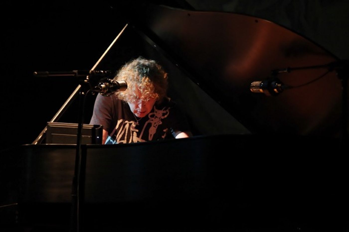 Photo Flash: Peter Manning Robinson Debuts THE REFRACTOR PIANO CONCERT at Bergamot Station Image