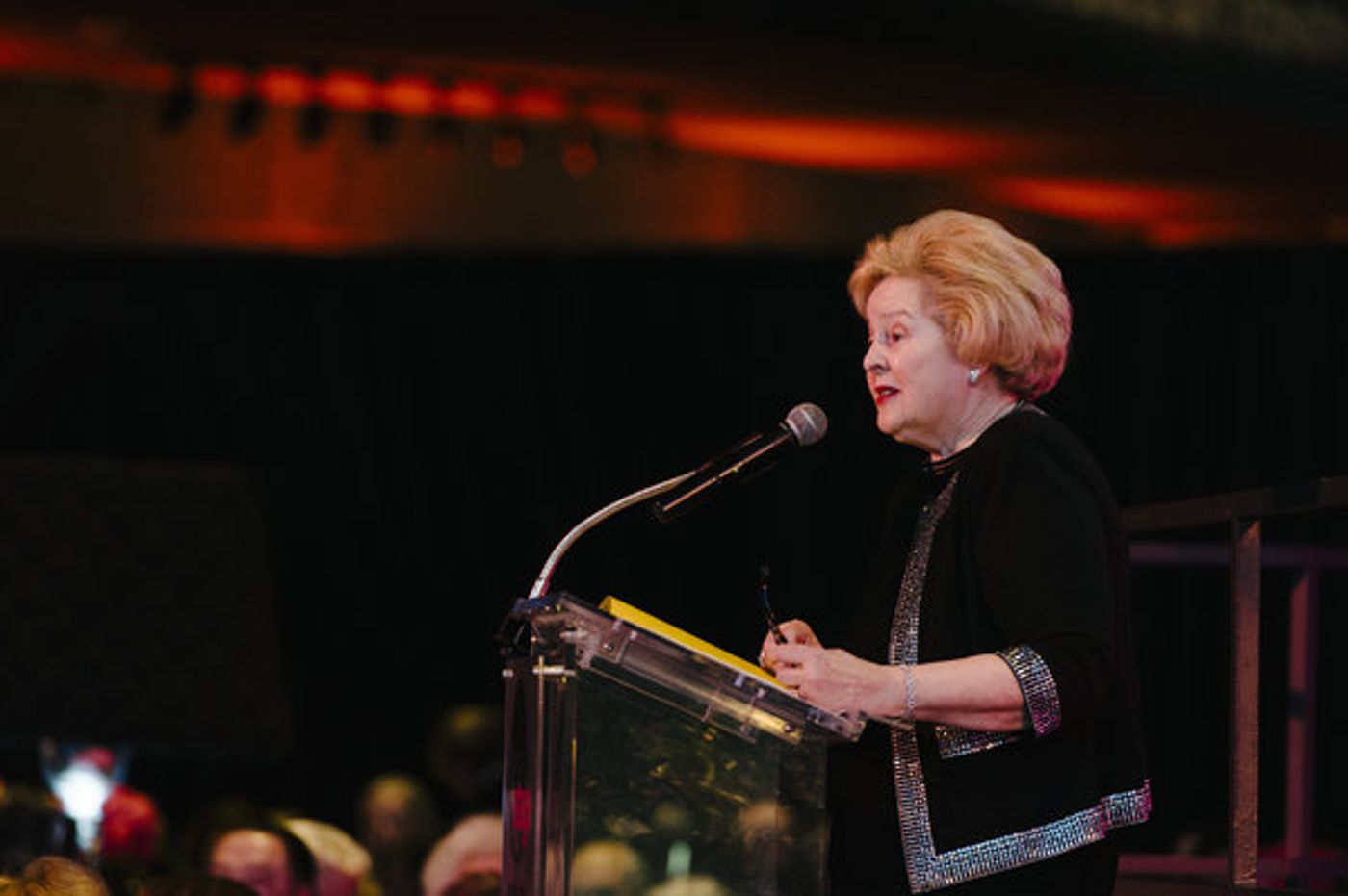 Photo Flash: Ana Gasteyer Headlines Arena Stage Benefit!  Image