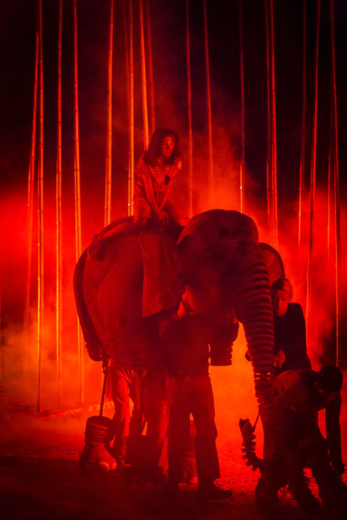 Photo Flash: Welcome to the Jungle! First Look at RUNNING WILD at Regent's Park Open Air Theatre  Image