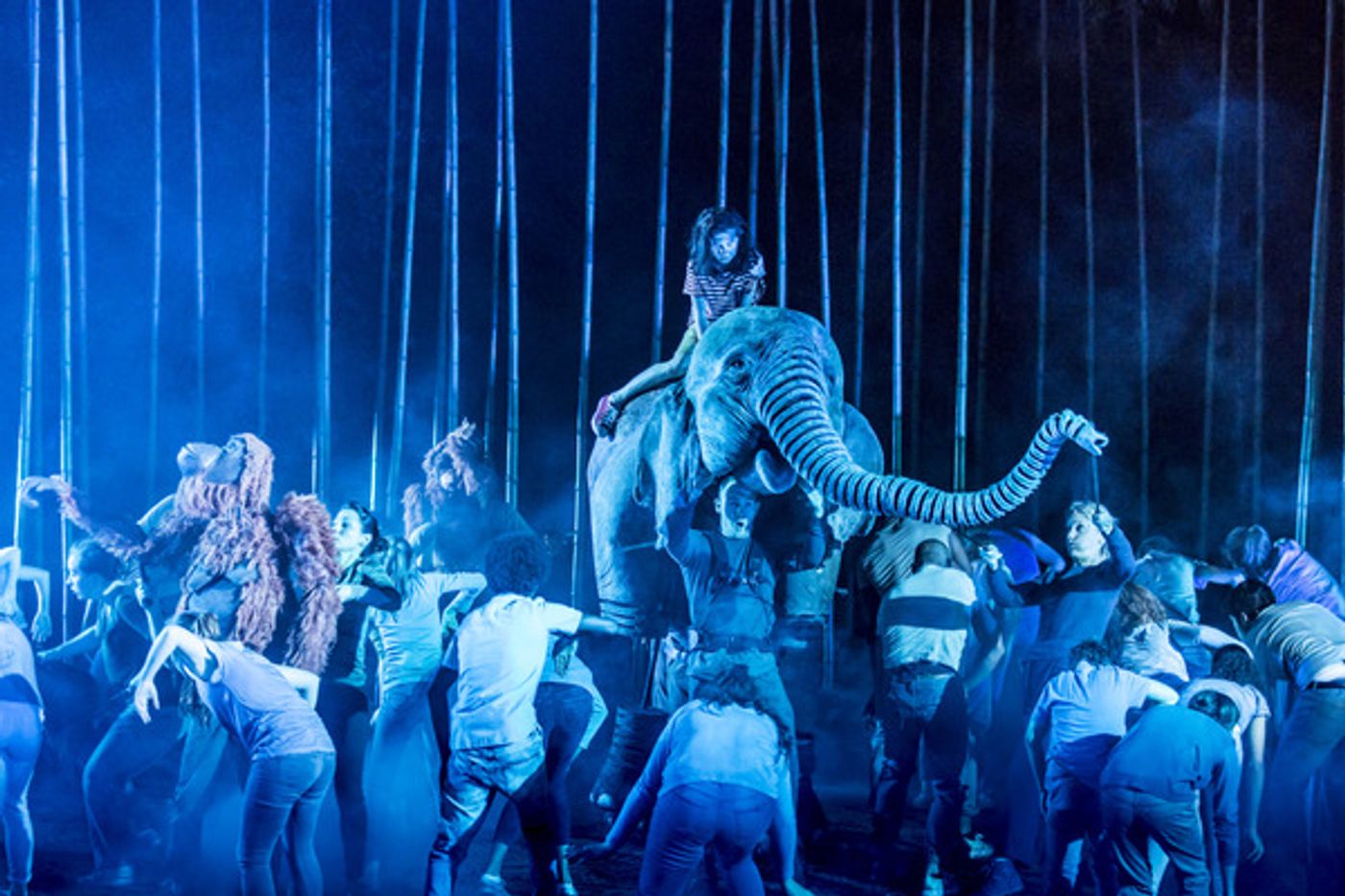 Photo Flash: Welcome to the Jungle! First Look at RUNNING WILD at Regent's Park Open Air Theatre  Image