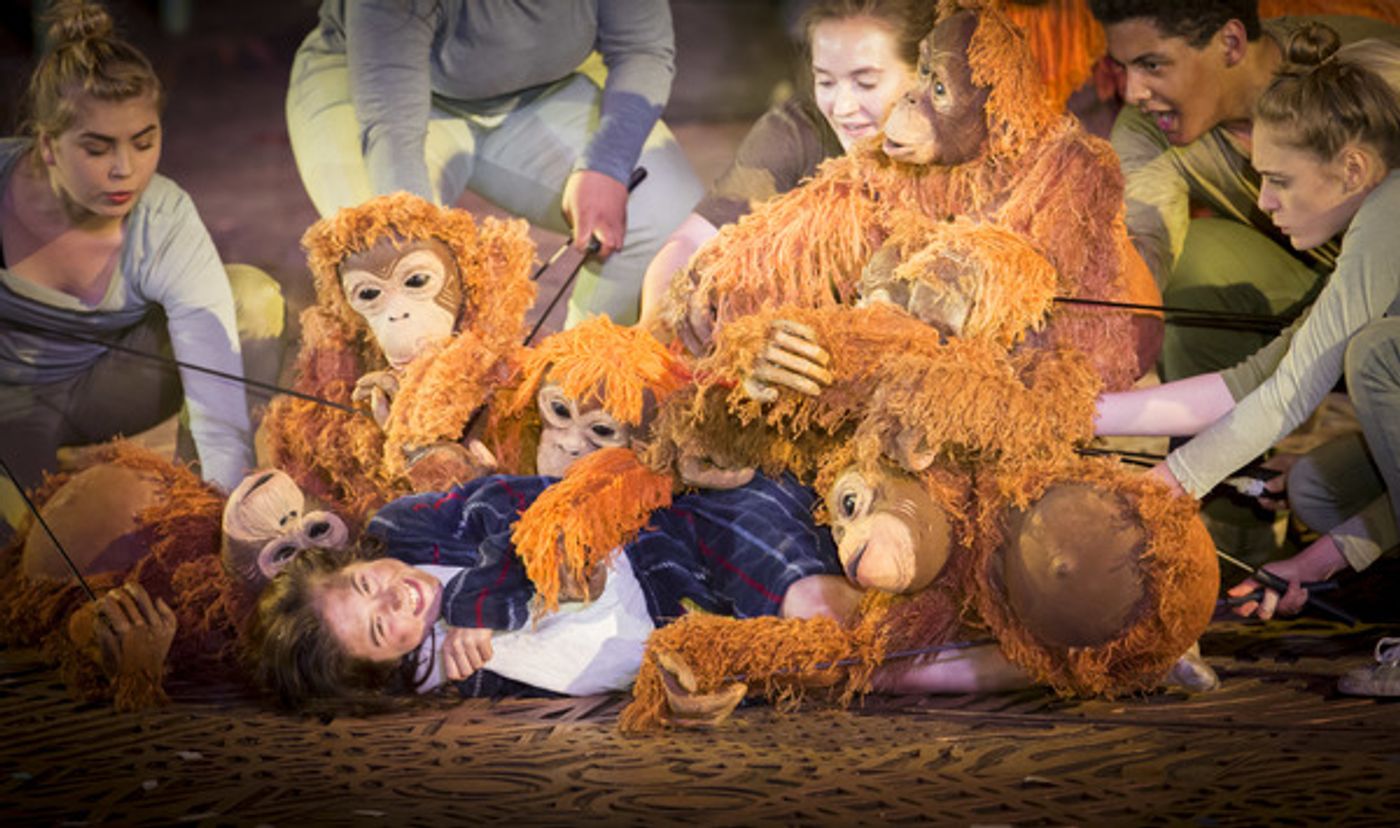 Photo Flash: Welcome to the Jungle! First Look at RUNNING WILD at Regent's Park Open Air Theatre  Image