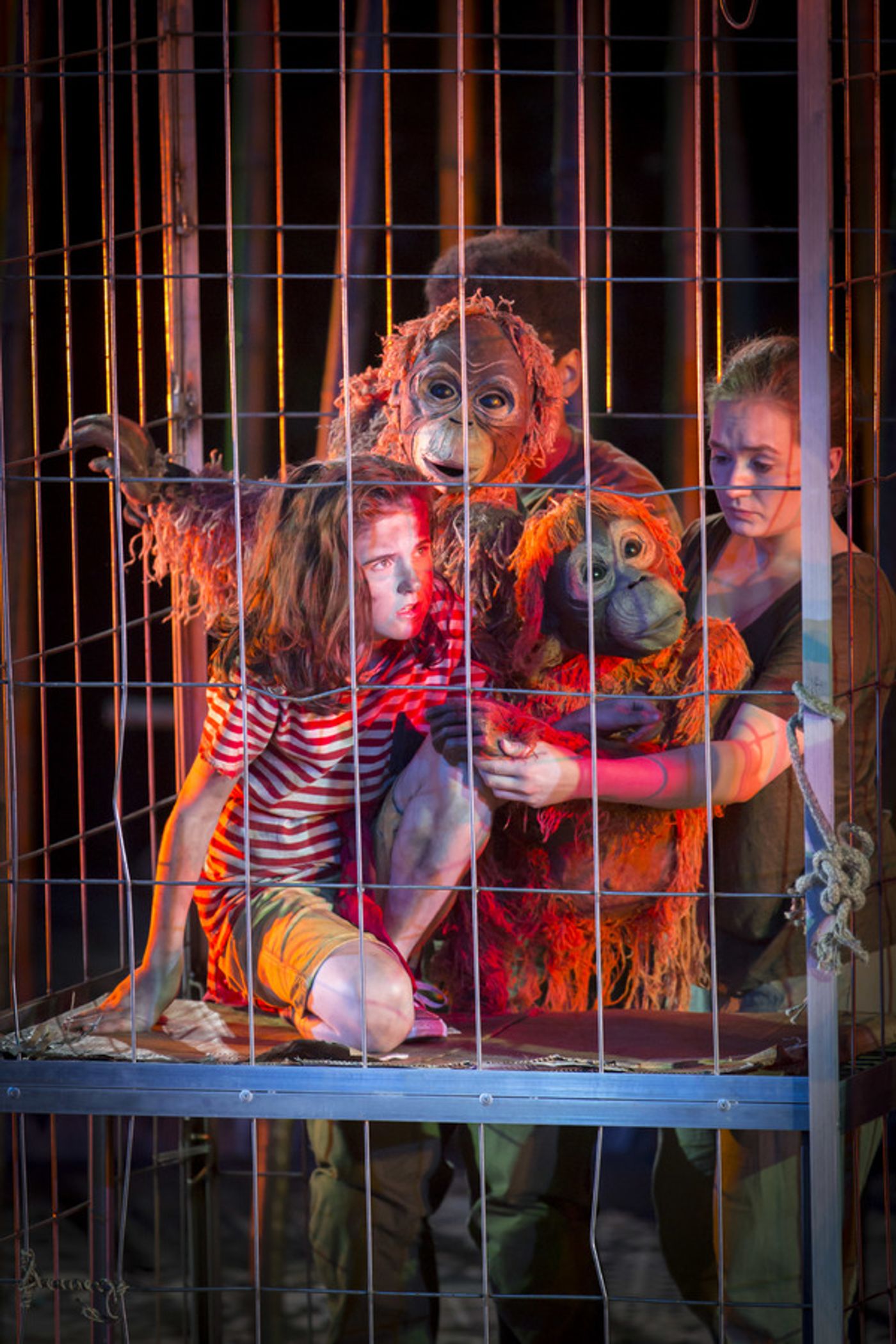 Photo Flash: Welcome to the Jungle! First Look at RUNNING WILD at Regent's Park Open Air Theatre  Image