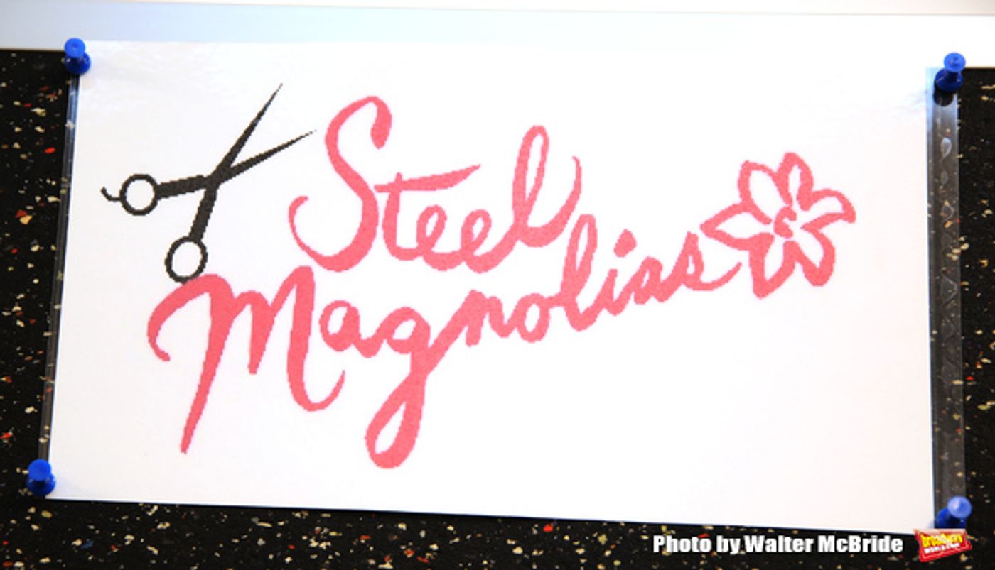 Photo Coverage: Bucks County Playhouse's STEEL MAGNOLIAS Cast Meets the Press! Photo Coverage: Bucks County Playhouse's STEEL MAGNOLIAS Cast Meets the Press! Image