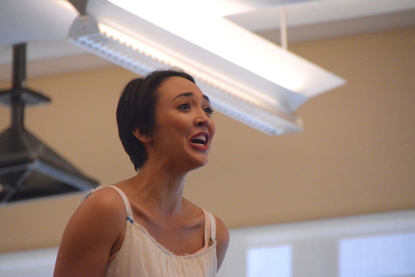 Photo Coverage: Paper Mill Playhouse's WEST SIDE STORY Gives Sneak Peek! Image