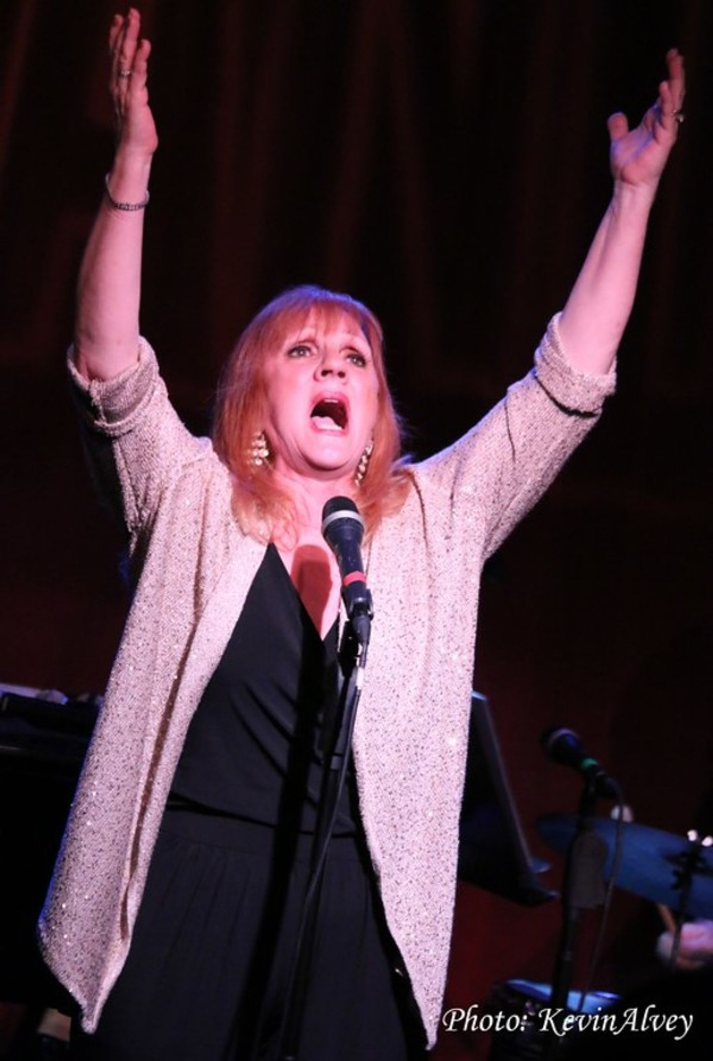 Photo Flash: Terri Klausner, Valarie Pettiford & Ty Stephens Bring A SOPHISTICATED REUNION to Birdland  Image