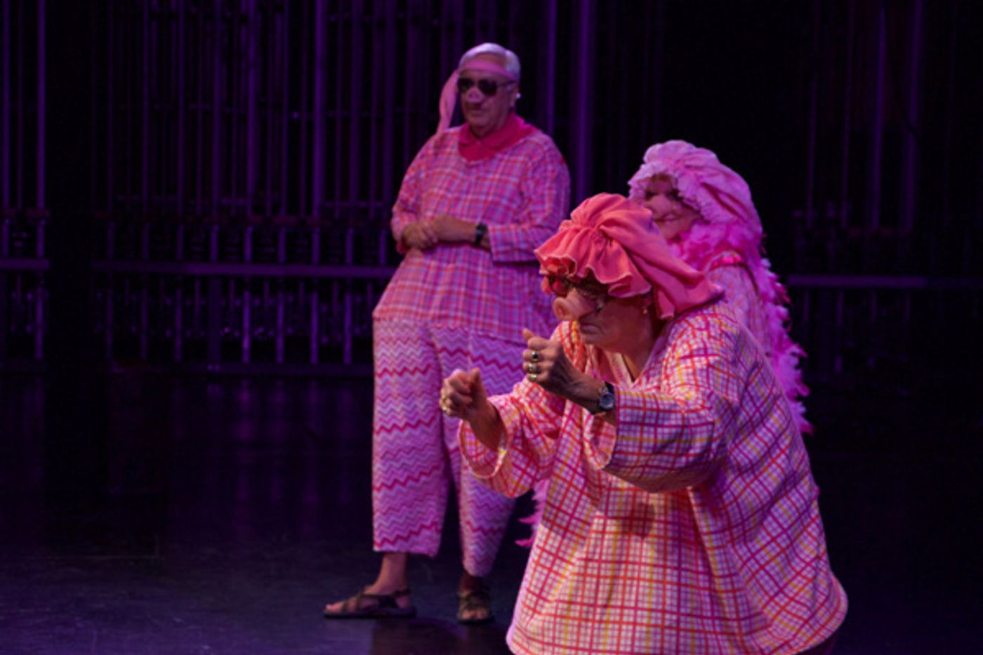 Photo Flash: Manatee Performing Arts Center & Early Learning Coalition Present CRACKED FAIRY TALES  Image