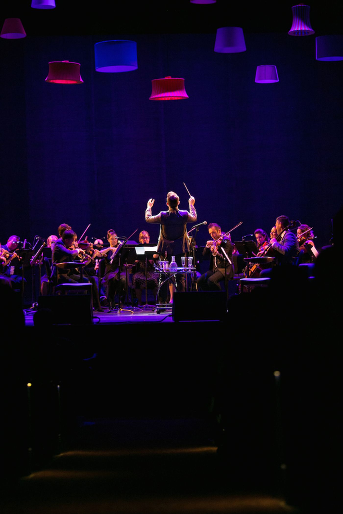 Photo Flash Exclusive: Erik Altemus, Nova Y. Payton & More Perform with American Pops Orchestra at George Washington University  Image
