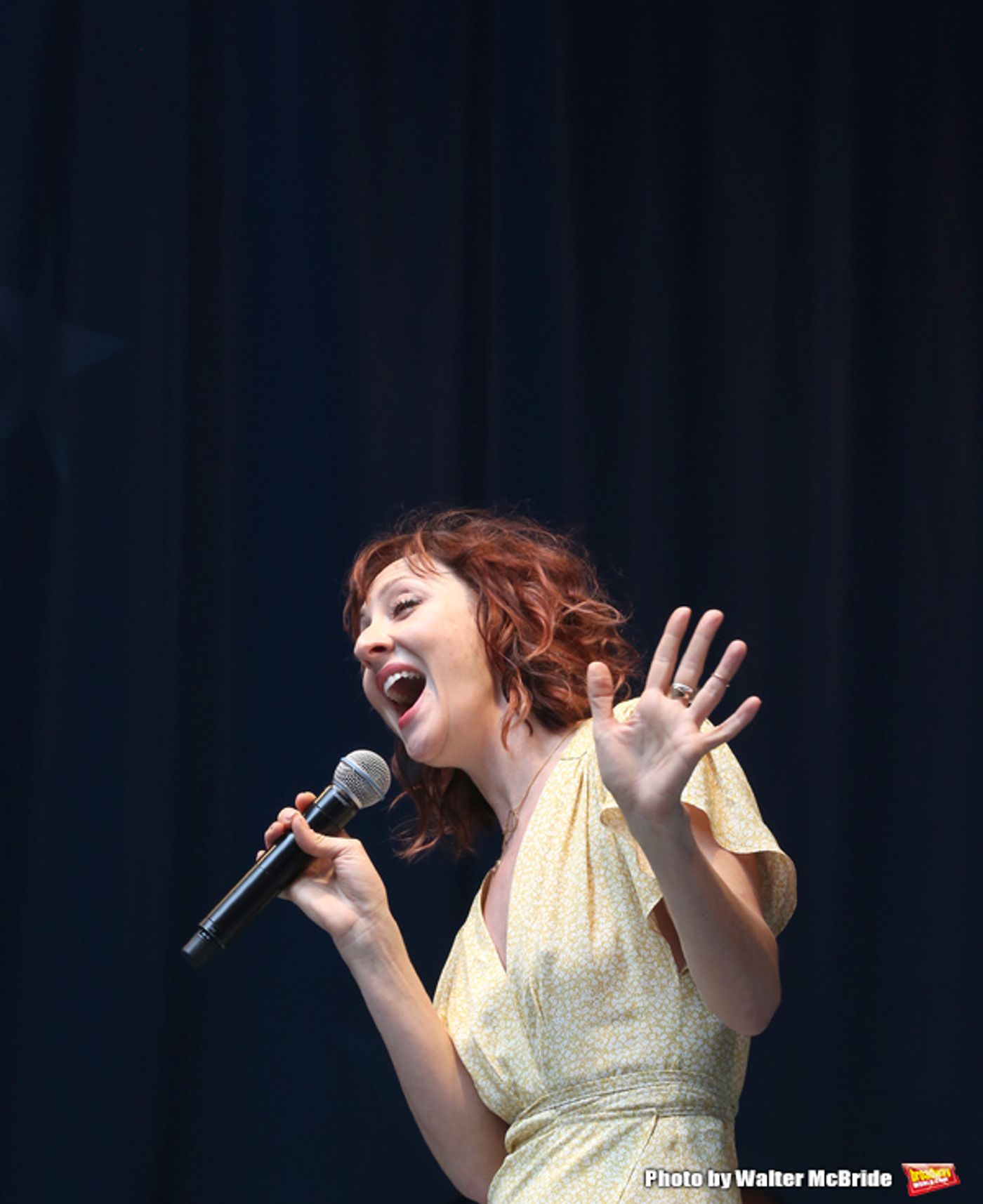 Photo Coverage: Broadway Shines Bright at STARS IN THE ALLEY!  Image