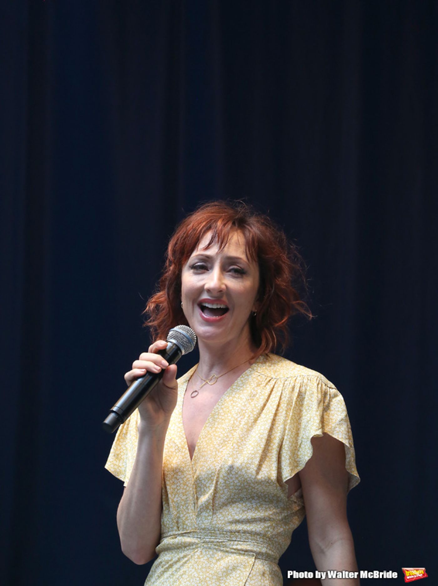 Photo Coverage: Broadway Shines Bright at STARS IN THE ALLEY!  Image
