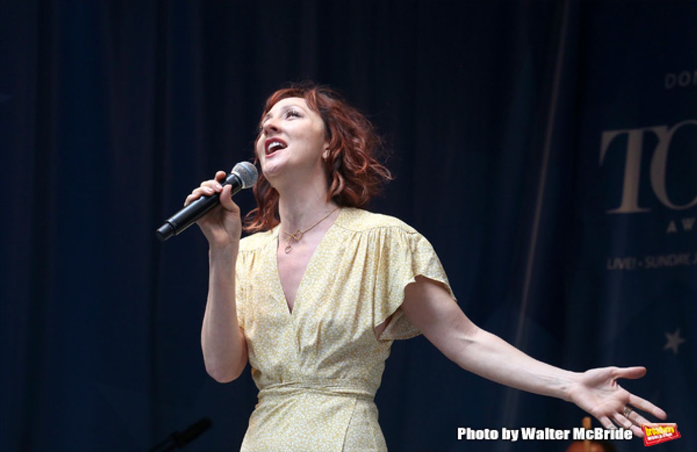Photo Coverage: Broadway Shines Bright at STARS IN THE ALLEY!  Image