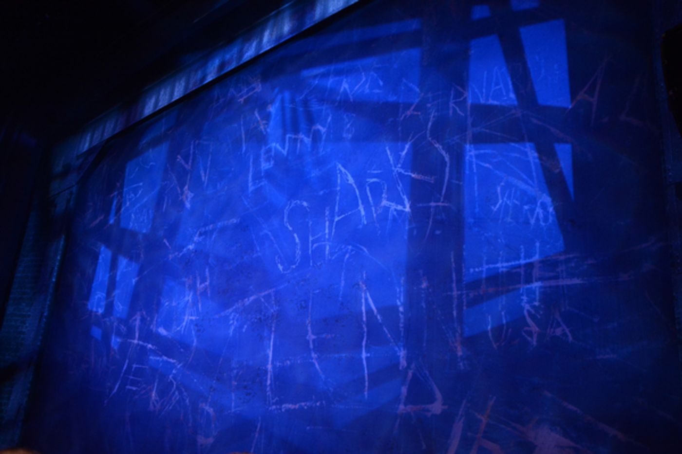 Photo Coverage: WEST SIDE STORY Takes Opening Night Bows at Paper Mill Playhouse! Photo Coverage: WEST SIDE STORY Takes Opening Night Bows at Paper Mill Playhouse! Image