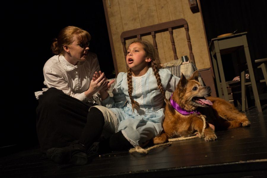 Photo Coverage: Inside the Ohio Community Theatre Association's Central Region Festival Image