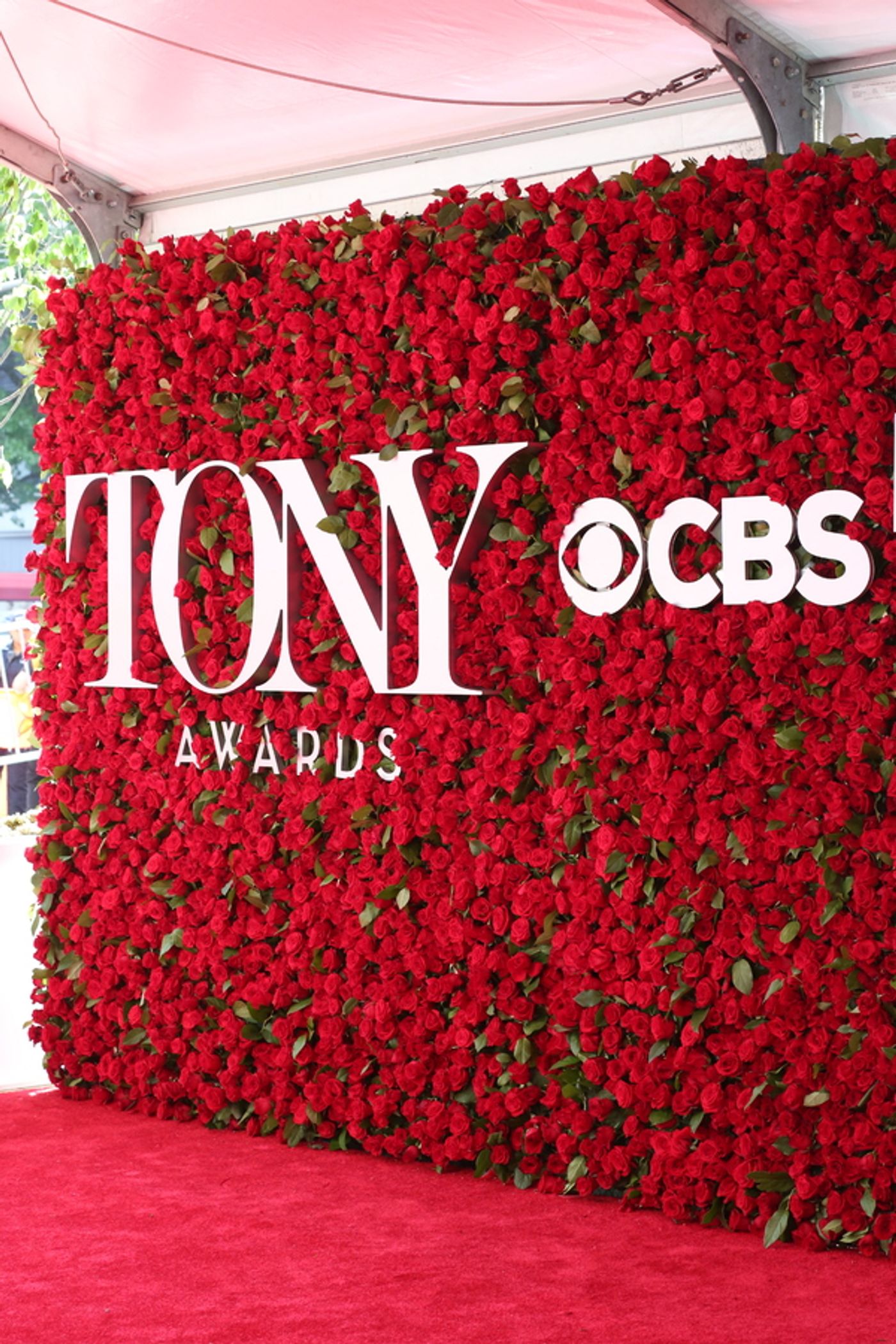 Photo Coverage: 2016 Tony Awards Red Carpet Arrivals - Part 1 Photo Coverage: 2016 Tony Awards Red Carpet Arrivals - Part 1 Image