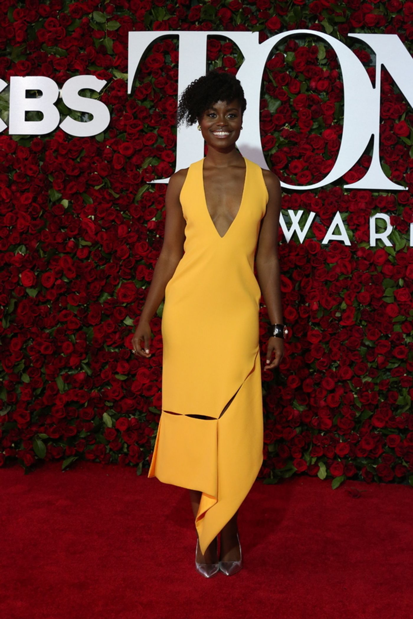 Photo Coverage: 2016 Tony Awards Red Carpet Arrivals - Part 1 Photo Coverage: 2016 Tony Awards Red Carpet Arrivals - Part 1 Image