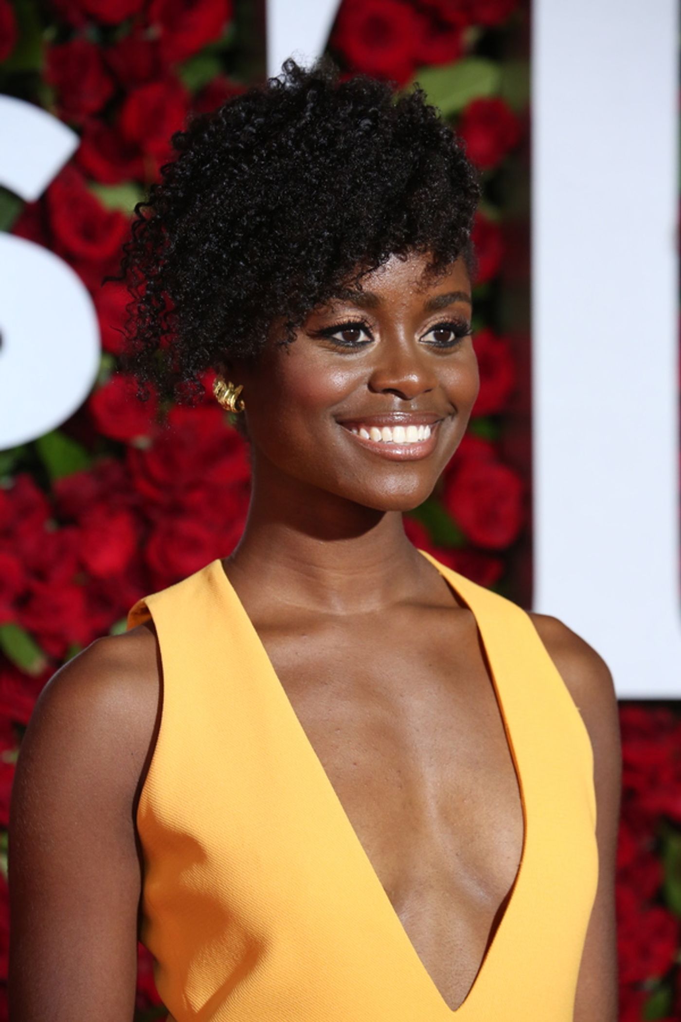 Photo Coverage: 2016 Tony Awards Red Carpet Arrivals - Part 1 Photo Coverage: 2016 Tony Awards Red Carpet Arrivals - Part 1 Image