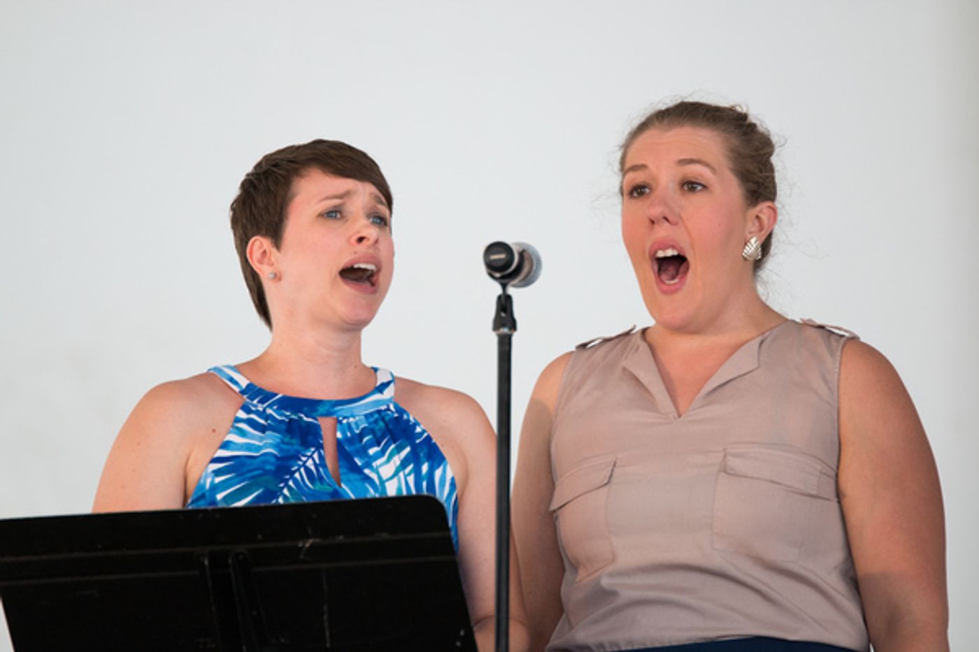 Photo Coverage: Inside the 2016 Columbus Arts Festival with 4 Local Theatres Photo Coverage: Inside the 2016 Columbus Arts Festival with 4 Local Theatres Image