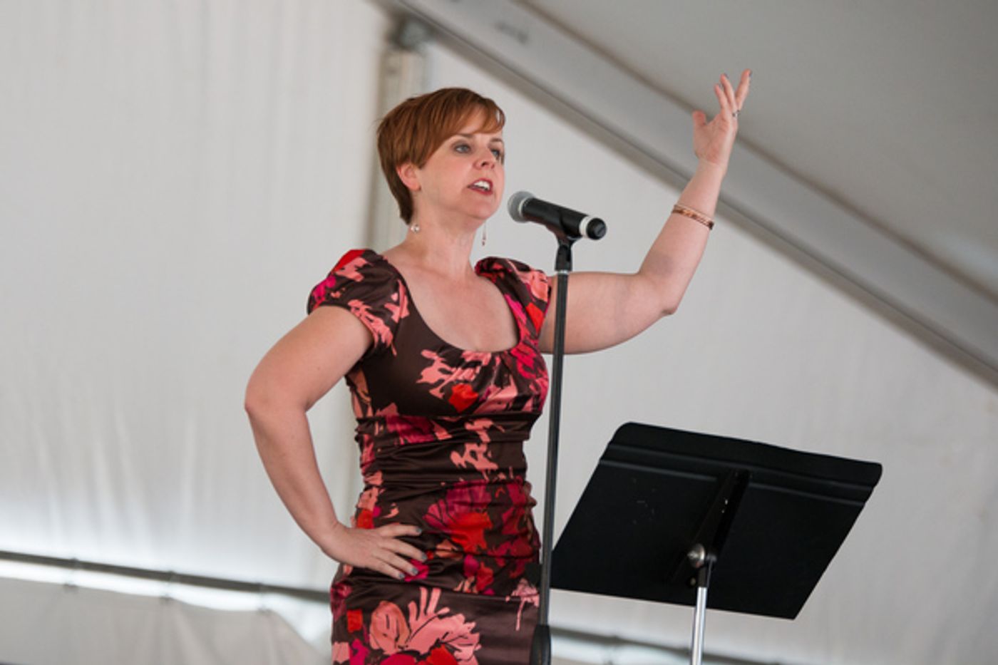 Photo Coverage: Inside the 2016 Columbus Arts Festival with 4 Local Theatres Photo Coverage: Inside the 2016 Columbus Arts Festival with 4 Local Theatres Image