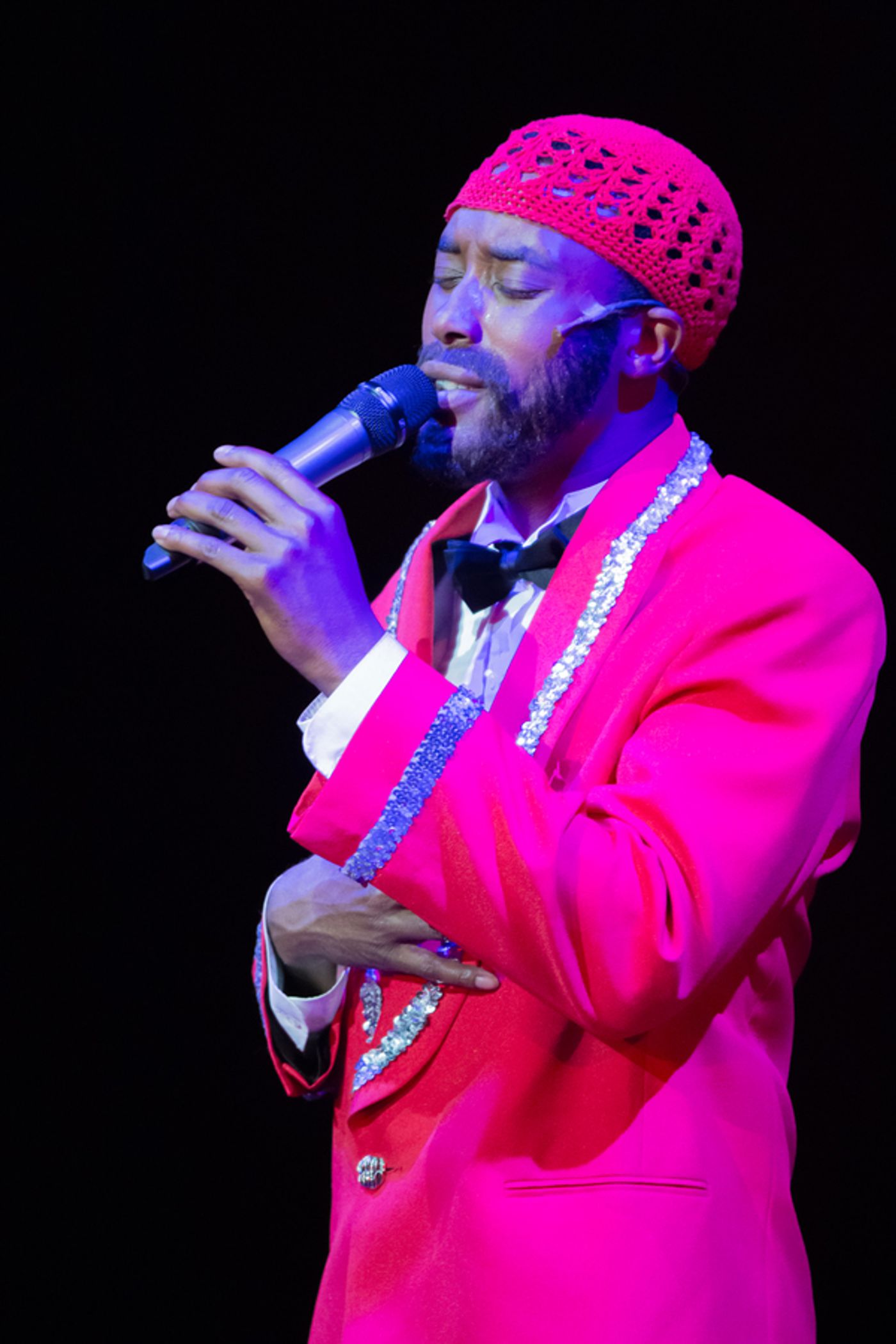 Photo Flash: First Look at Black Ensemble Theater's THE MARVIN GAYE STORY  Image