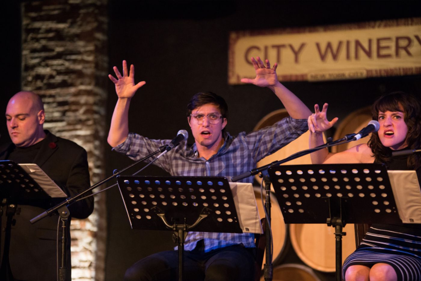 Photo Flash: Inside Page 73's 2016 Spring Celebration, Honoring Board Member Allison Blinken & Hosted by Julie White  Image