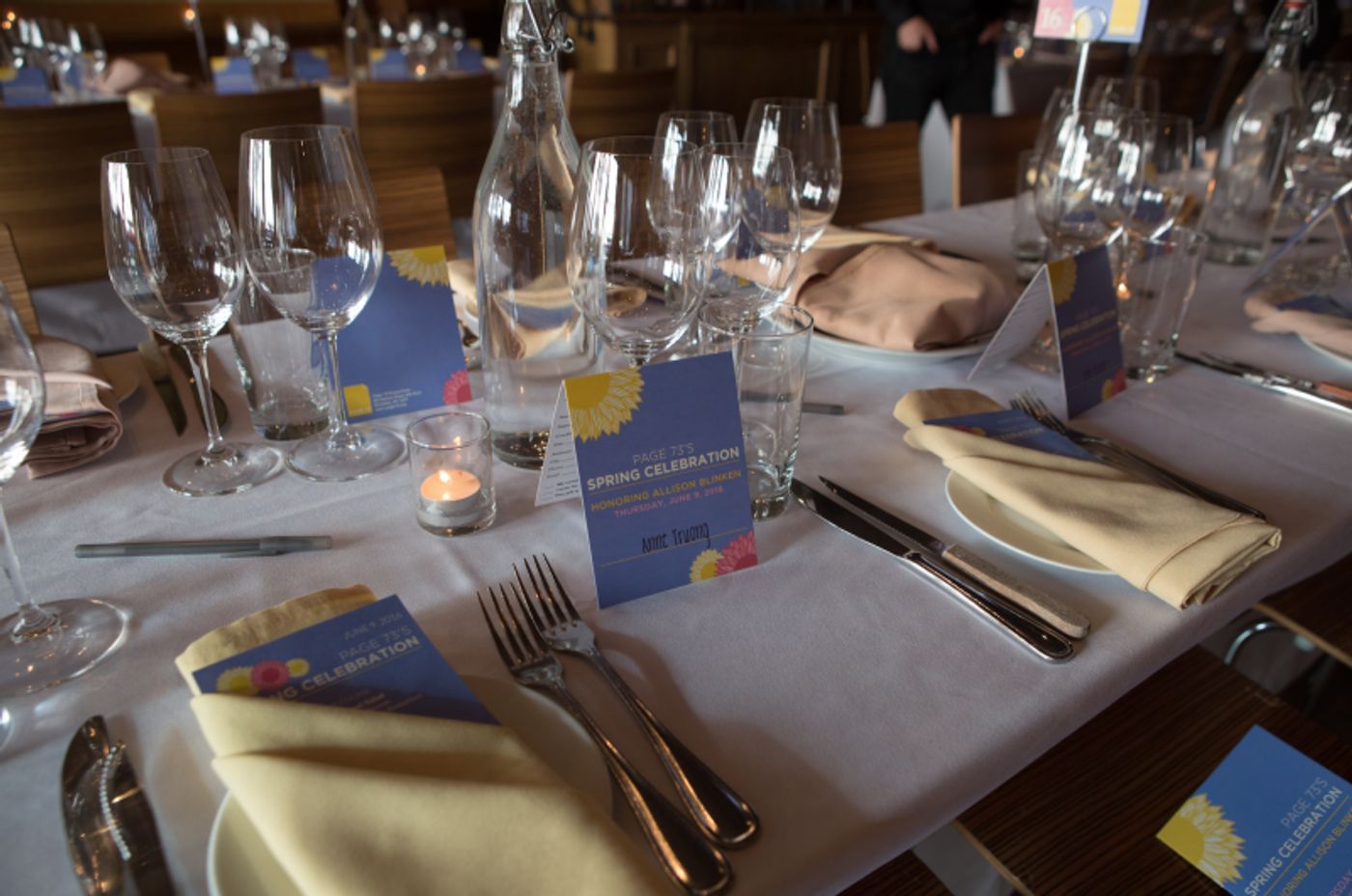 Photo Flash: Inside Page 73's 2016 Spring Celebration, Honoring Board Member Allison Blinken & Hosted by Julie White  Image