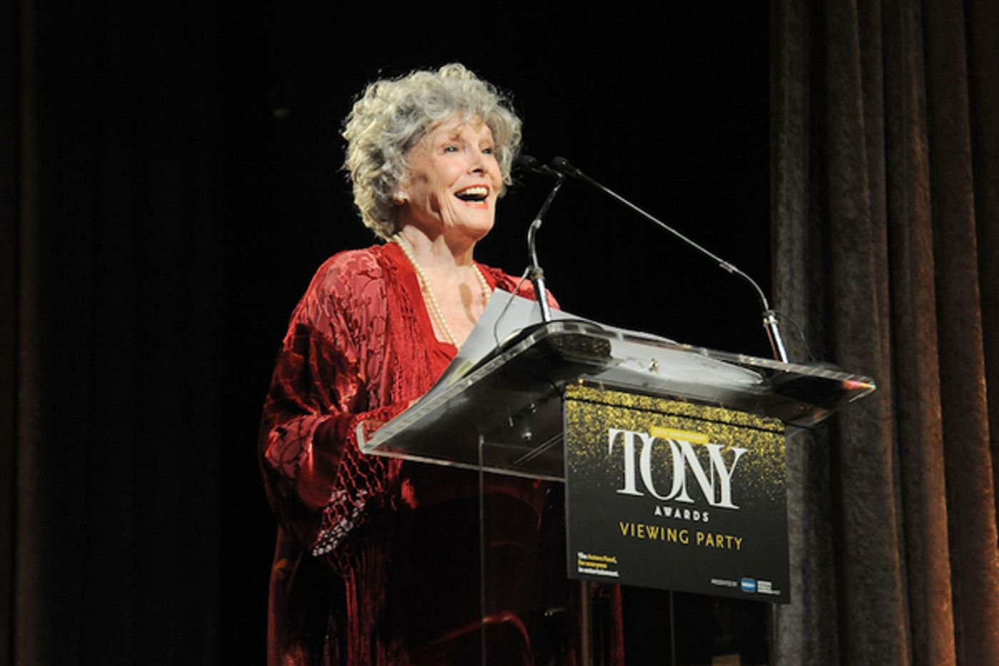 Photo Flash: The Actors Fund's 20th Anniversary Tony Awards Viewing Party Photo Flash: The Actors Fund's 20th Anniversary Tony Awards Viewing Party Image
