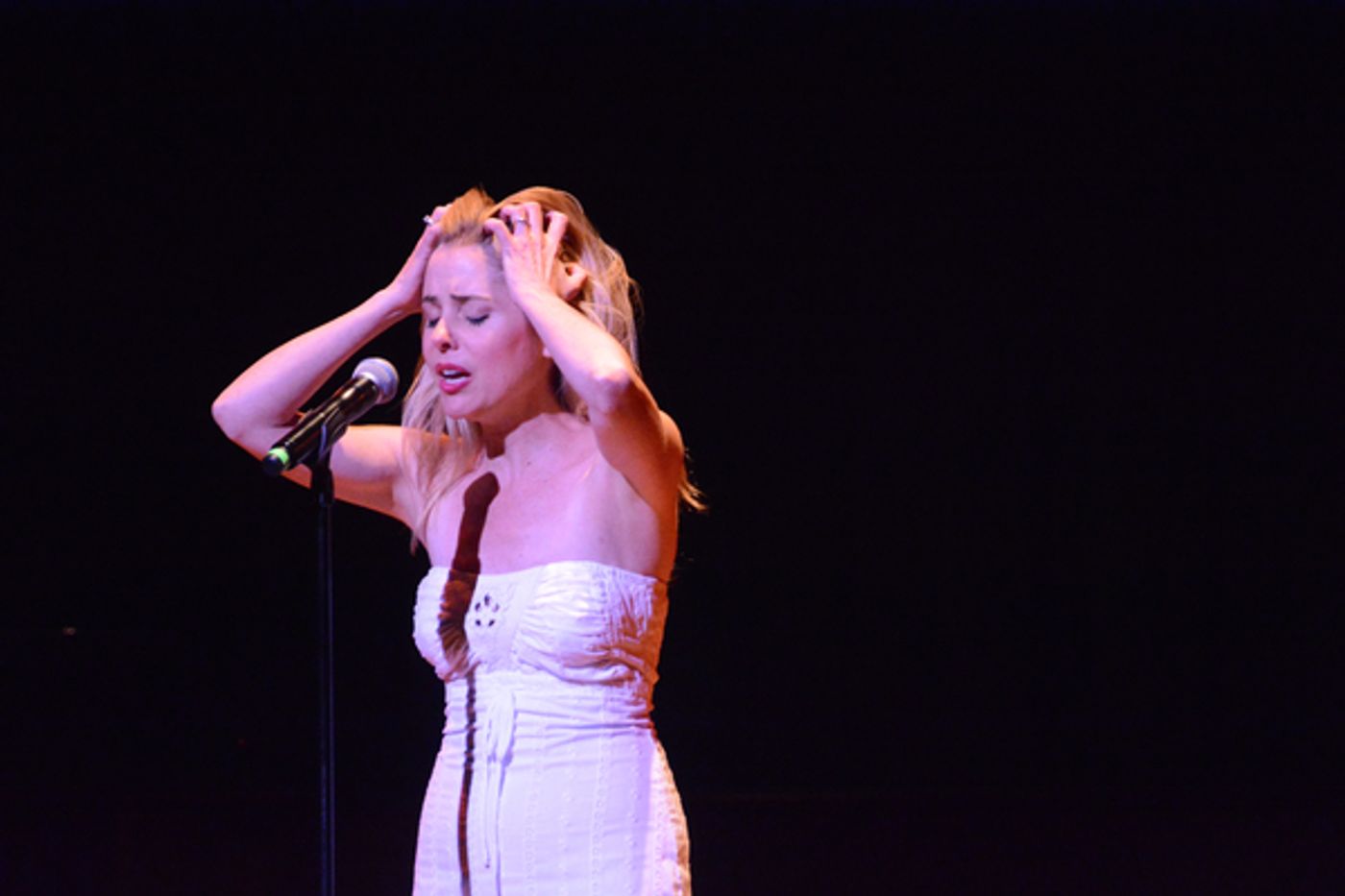 Photo Coverage: Rachel Bay Jones, Robert Creighton & More Sing the Songs of the 70s at BROADWAY BY THE YEAR  Image