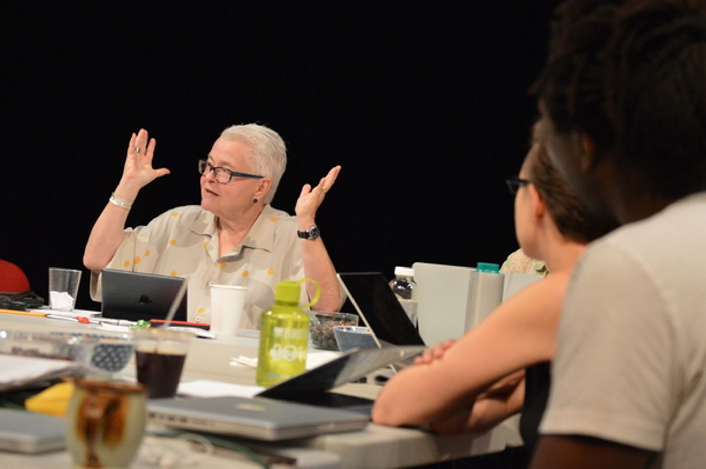 Photo Flash: Paula Vogel Comes to Playwrights' Center as Part of DGF's Traveling Masters Program  Image