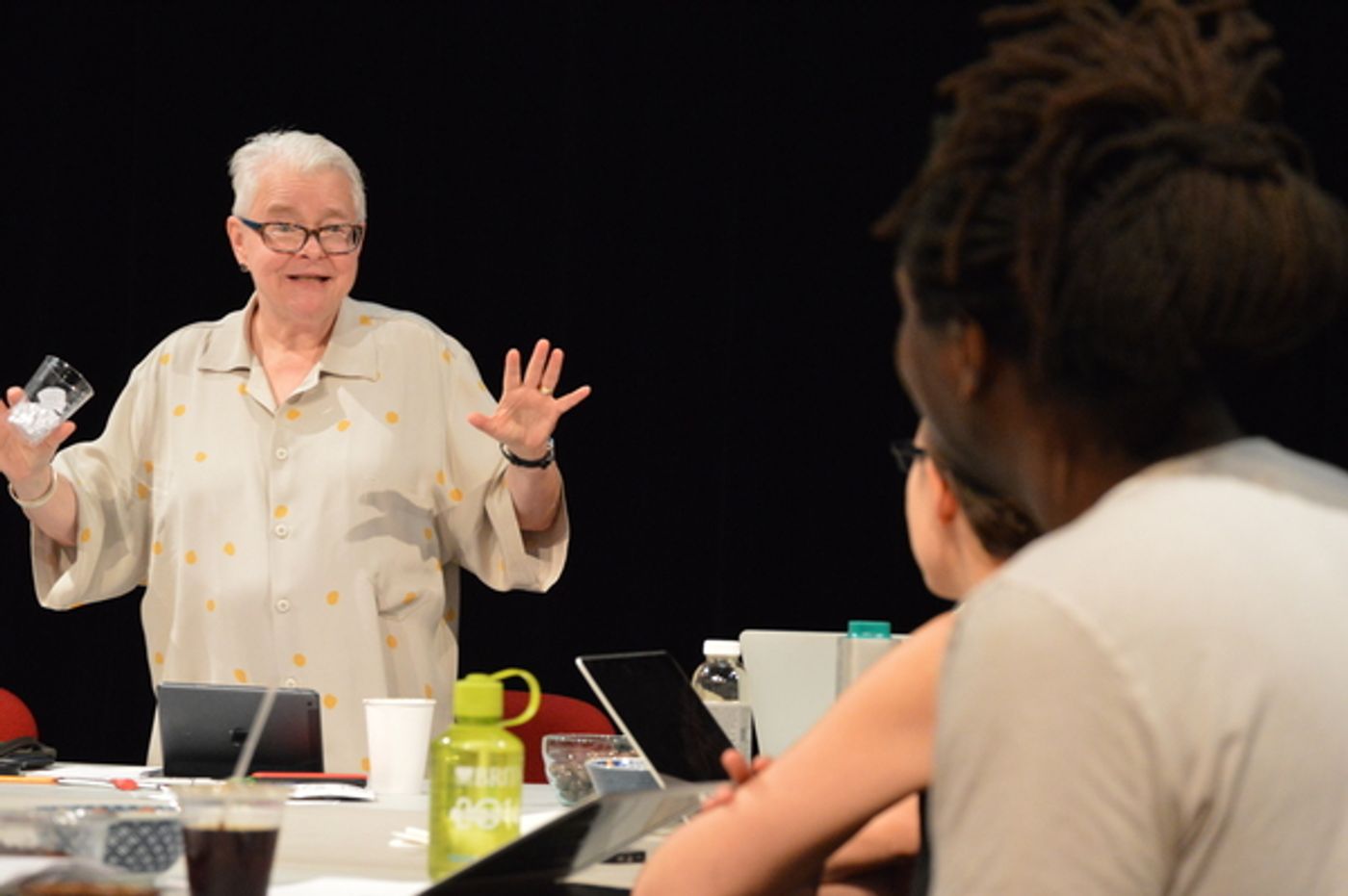 Photo Flash: Paula Vogel Comes to Playwrights' Center as Part of DGF's Traveling Masters Program  Image
