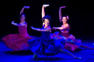 Dana Hunter & Company Photo