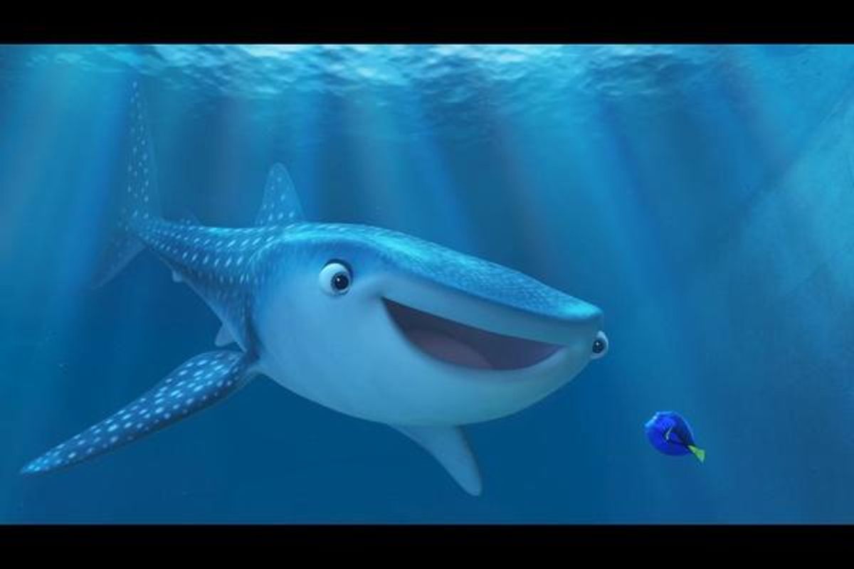 Kaitlin Olson voices Destiny, Dory's close friend who happens to be a near-sighted whale shark. at 