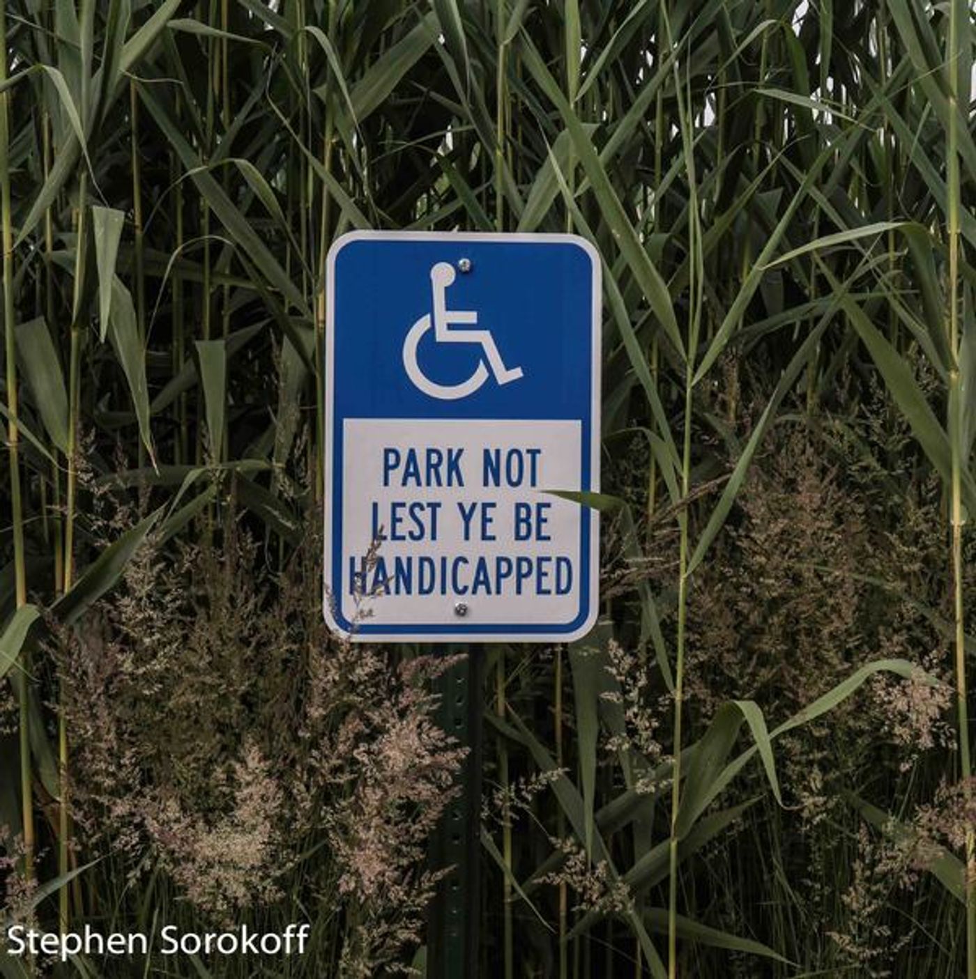 Photo Coverage: Shakespeare & Company Present Regional Premiere of THE TAMING Photo Coverage: Shakespeare & Company Present Regional Premiere of THE TAMING Image