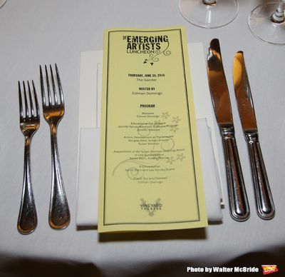 The Vineyard Theatre Emerging Artists Luncheon  at The Gander on June 30, 2016 in New Photo