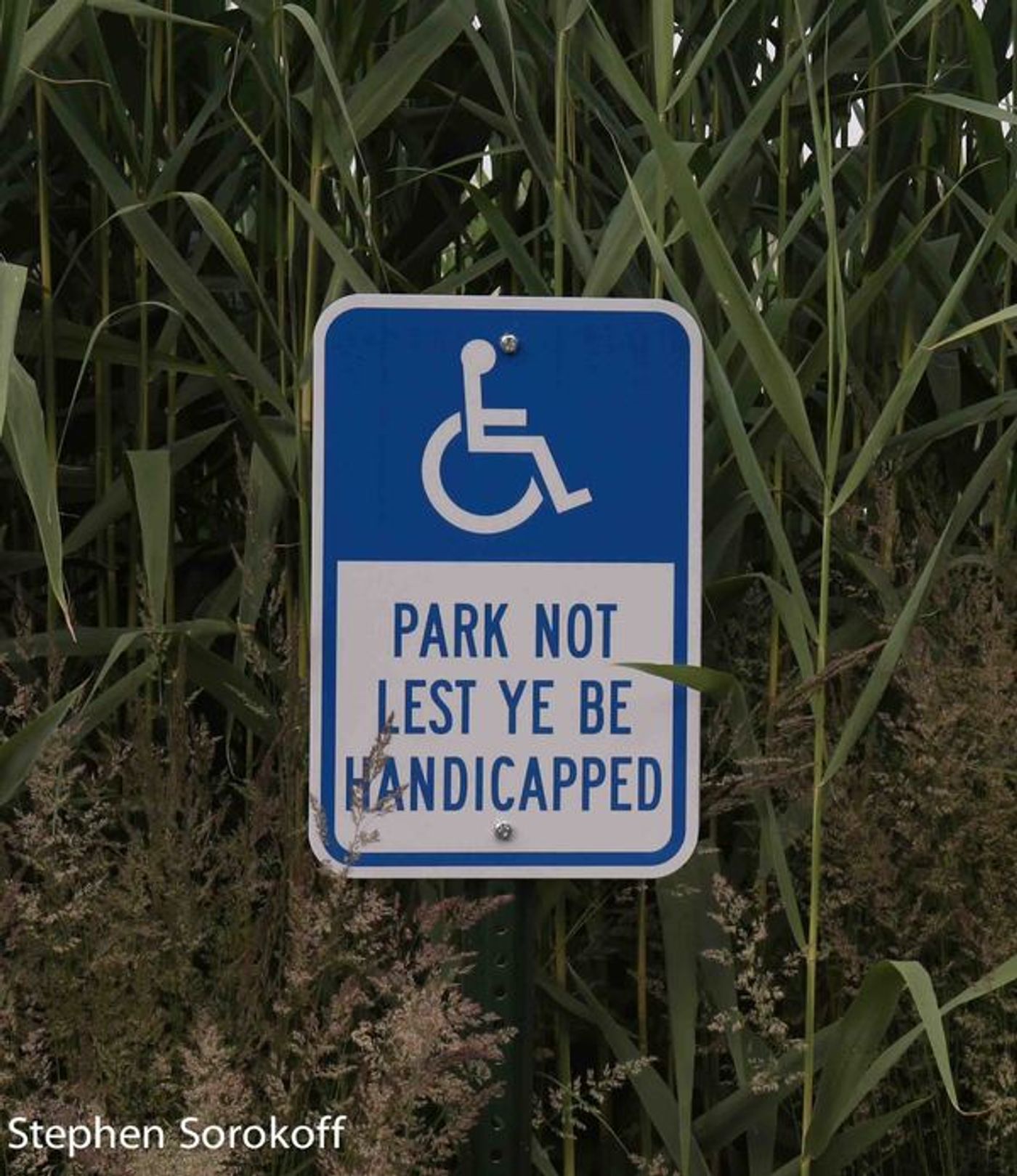 Photo Coverage: Former Gov. Deval Patrick & Ted Koppel Join Shakespeare & Co. For July 4th Celebration  Image