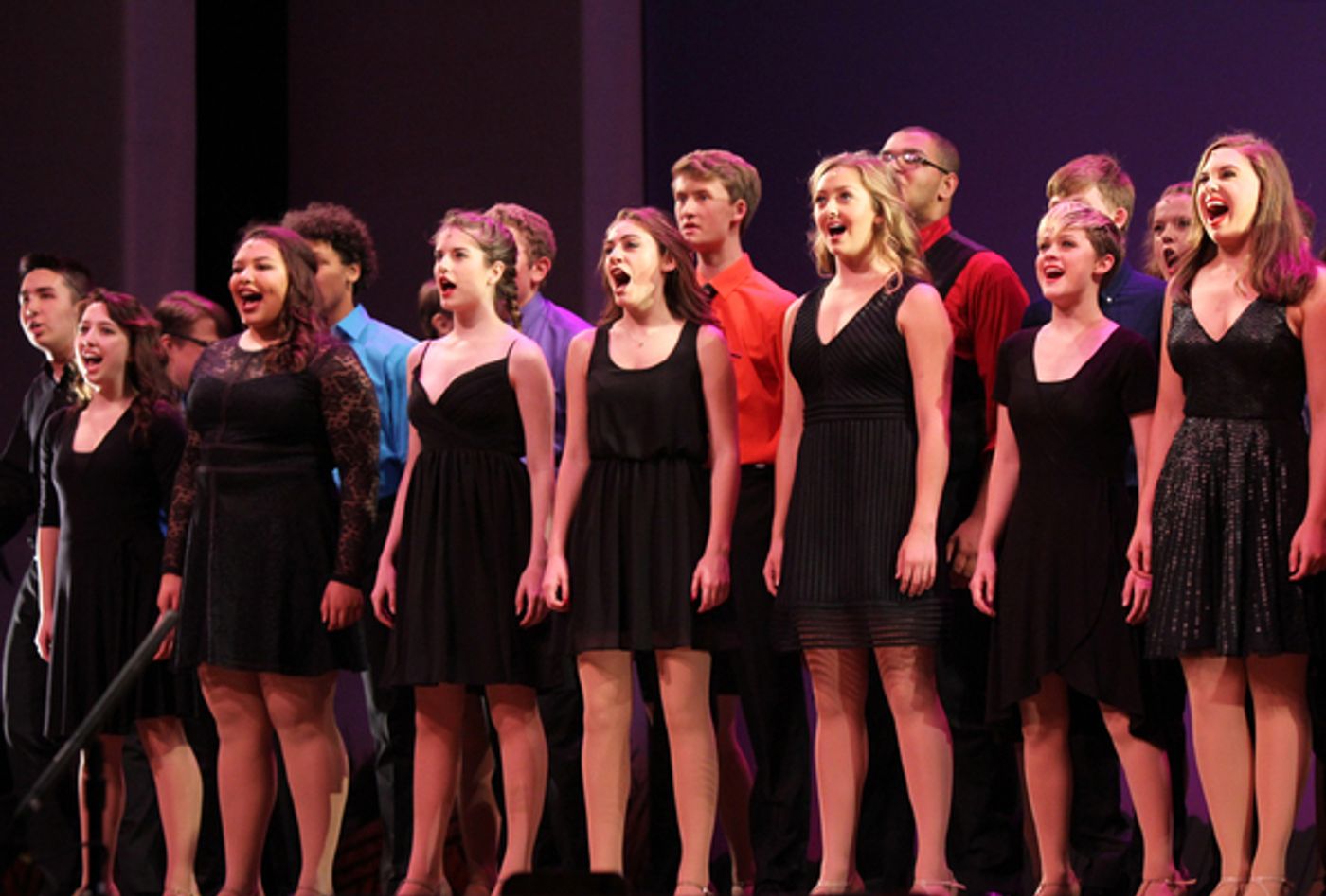 Photo Flash: Go Inside the 2016 National High School Musical Theatre Awards!  Image