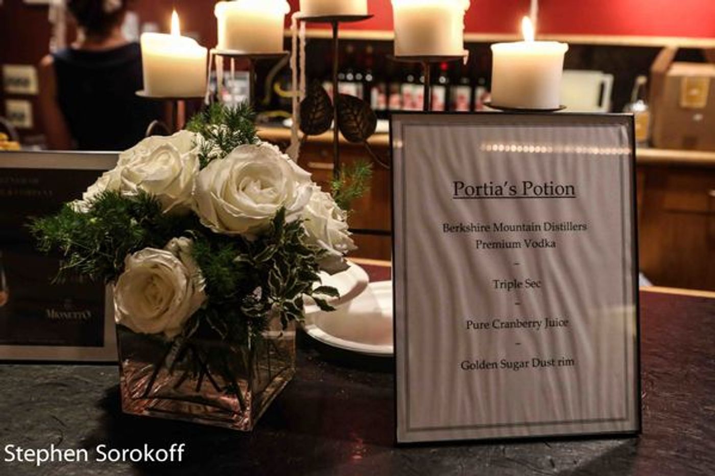 Photo Coverage: Inside the Opening Night Gala of THE MERCHANT OF VENICE at Shakespeare & Co.  Image