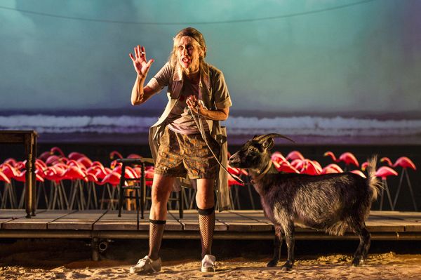 Photos: First Look at Marisa Tomei, Christopher Abbott & More in THE ROSE TATTOO at Williamstown Theatre Festival — photo 11 of 17