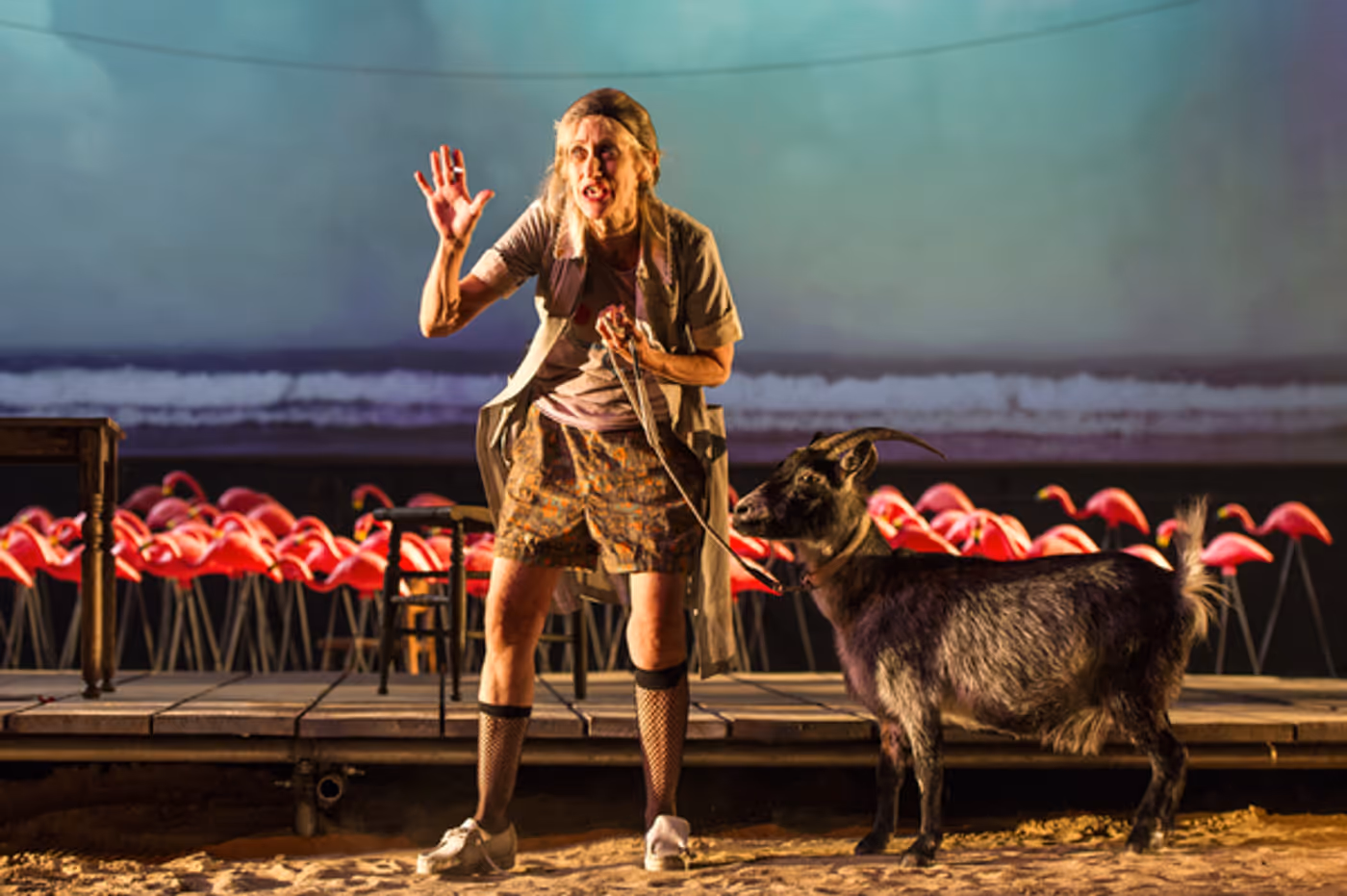 Photo Flash: First Look at Marisa Tomei, Christopher Abbott & More in THE ROSE TATTOO at Williamstown Theatre Festival Image