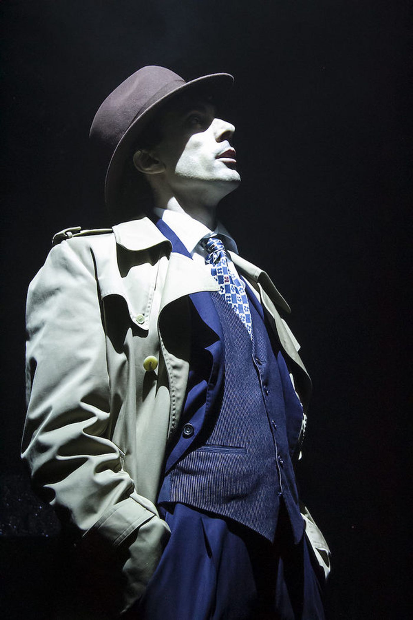 Photo Flash: THE STRIPPER Opens at St James Theatre  Image