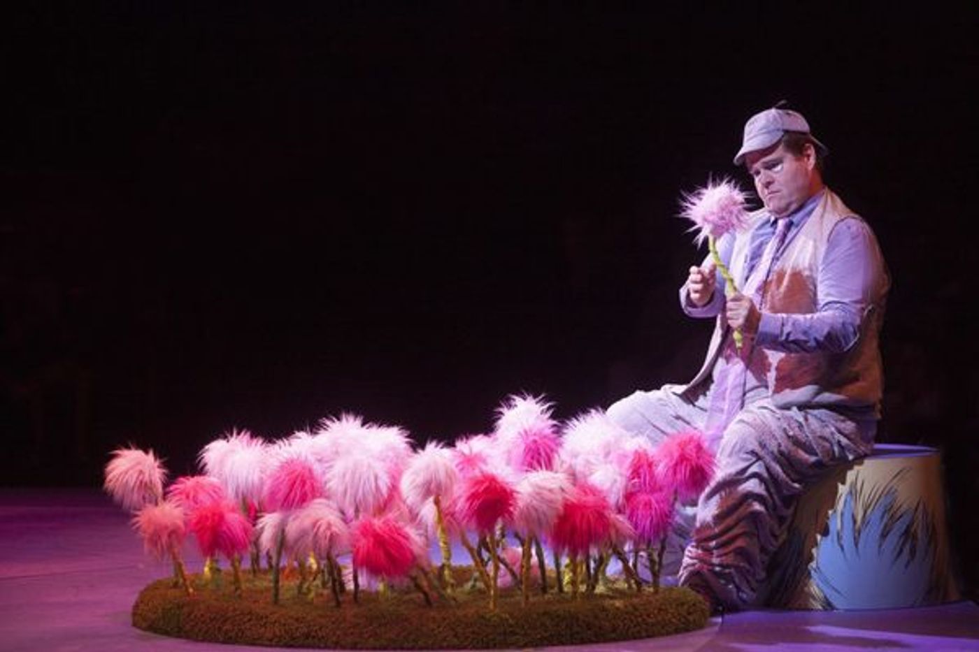 Photo Flash: First Look at Jason Graae, Sharon Wilkins, John Treacy Egan, Bets Malone and More in SEUSSICAL at Music Circus  Image