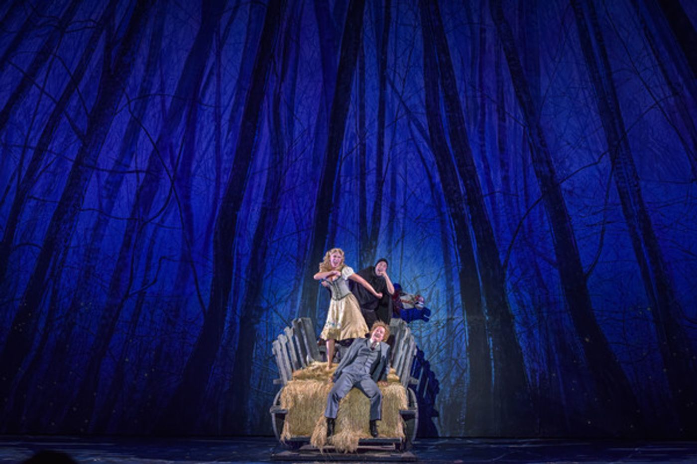 Photo Flash: First Look at Robert Petkoff, Stephanie Gibson, Steve Rosen and More in YOUNG FRANKENSTEIN at The Muny Photo Flash: First Look at Robert Petkoff, Stephanie Gibson, Steve Rosen and More in YOUNG FRANKENSTEIN at The Muny Image